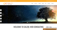 Desktop Screenshot of calzol.com