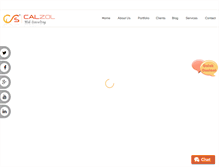 Tablet Screenshot of calzol.com